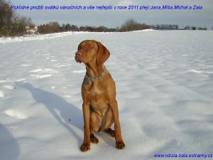 dscn3894.jpg